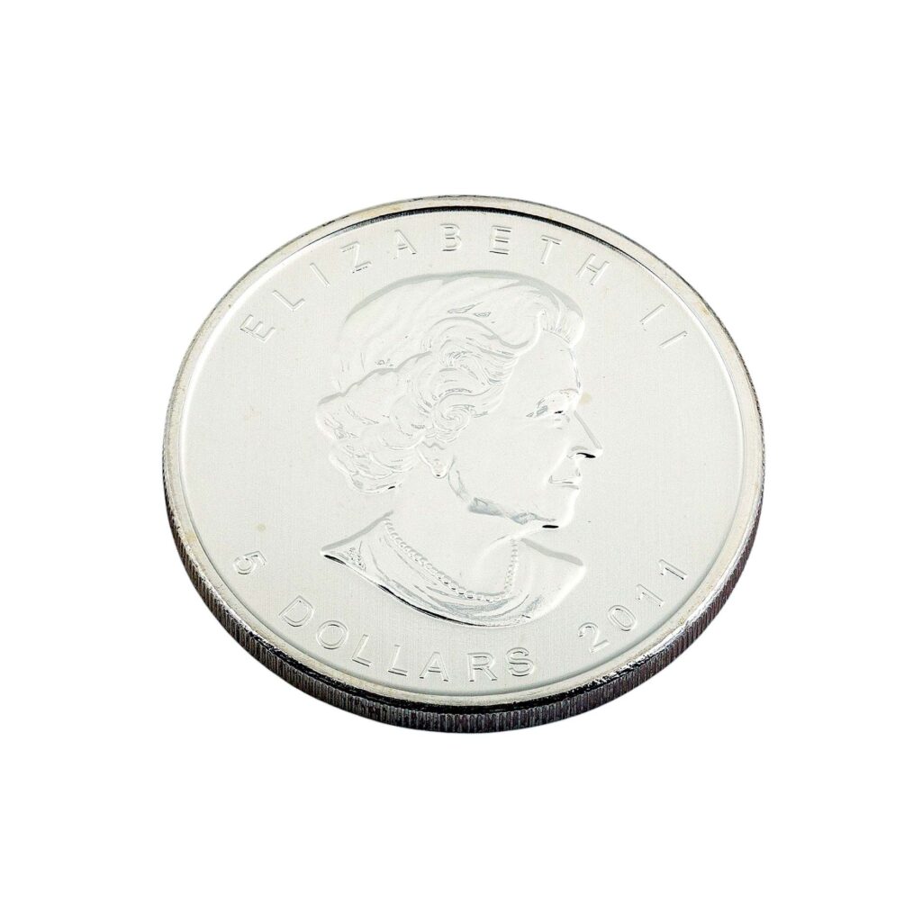 5 Dollars 1 oz Silber Wolf Wildlife Serie 2011