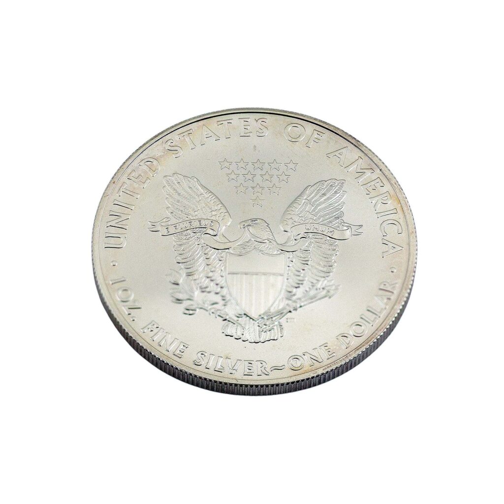 1 Dollar American Silver Eagle 1 oz Silber 2009