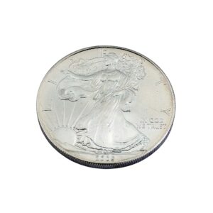 1 Dollar American Silver Eagle 1 oz Silber 2009