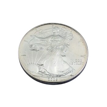 1 Dollar American Silver Eagle 1 oz Silber 2009