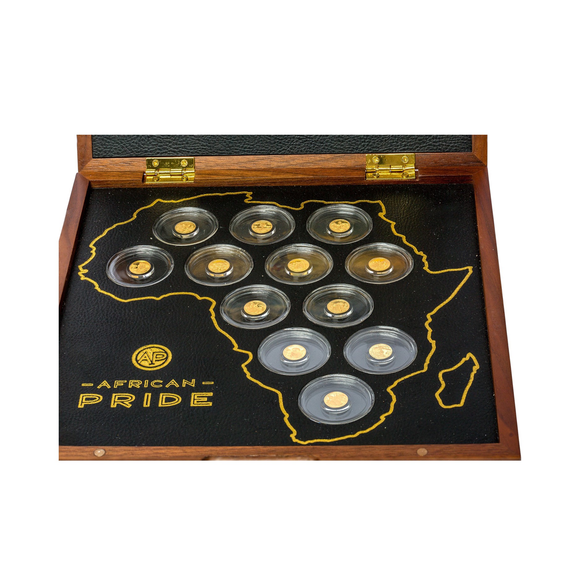 African Pride Goldmünzen Münzsatz – 12 x 0,5 g Goldmünzen in edler Holzkassette