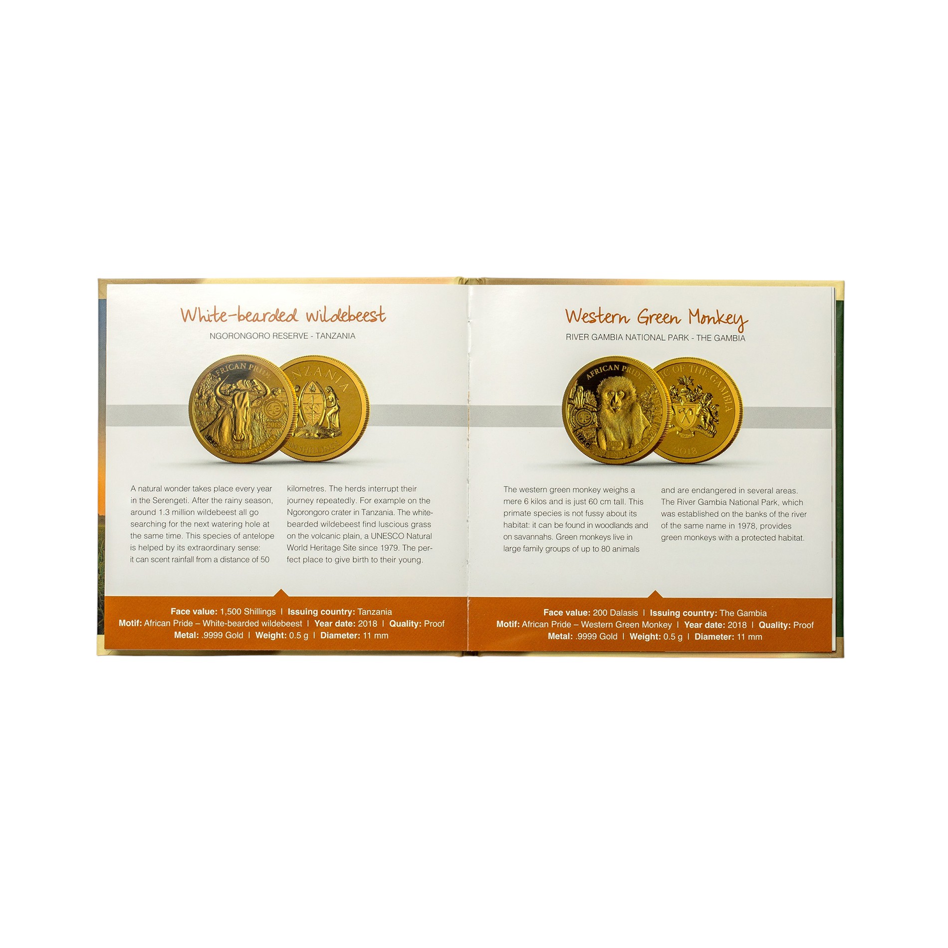African Pride Goldmünzen Münzsatz – 12 x 0,5 g Goldmünzen in edler Holzkassette